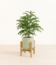 Load image into Gallery viewer, Turquoise stand:bamboo