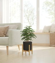 Load image into Gallery viewer, Black stand:bamboo