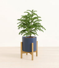 Load image into Gallery viewer, Deep Navy stand:bamboo