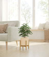 Load image into Gallery viewer, Cream stand:bamboo