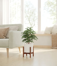 Load image into Gallery viewer, White stand:walnut