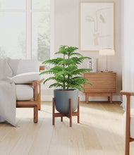 Load image into Gallery viewer, Iron Gray stand:walnut