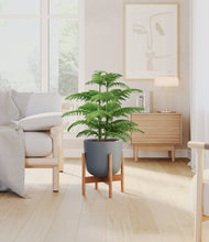 Load image into Gallery viewer, Iron Gray stand:bamboo