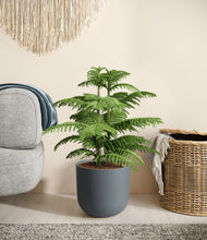 Load image into Gallery viewer, Iron Gray