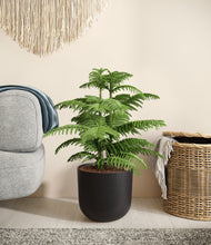 Load image into Gallery viewer, Stone Black