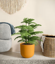 Load image into Gallery viewer, Sunset Orange