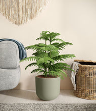 Load image into Gallery viewer, Sage Green