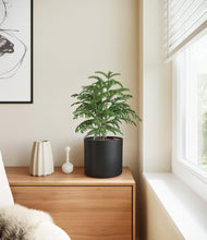 Load image into Gallery viewer, Black