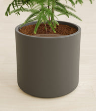 Load image into Gallery viewer, Dark Olive stand:all