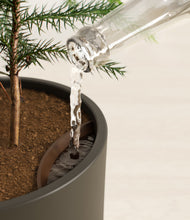 Load image into Gallery viewer, Dark Olive stand:all