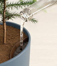 Load image into Gallery viewer, Iron Gray stand:all