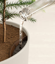 Load image into Gallery viewer, Natural Bamboo stand:all