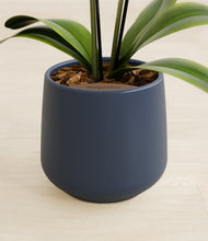 Load image into Gallery viewer, Deep Navy stand:all