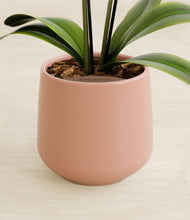 Load image into Gallery viewer, Calm Rose stand:all