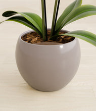 Load image into Gallery viewer, Winter Clouds stand:all