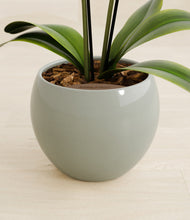 Load image into Gallery viewer, Deep Ocean stand:all