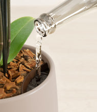 Load image into Gallery viewer, Eternal Gray stand:all