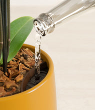 Load image into Gallery viewer, Mustard stand:all