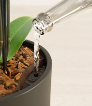 Load image into Gallery viewer, Dark Olive stand:all