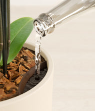 Load image into Gallery viewer, Cream stand:all