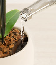 Load image into Gallery viewer, Shiny EggWhite stand:all