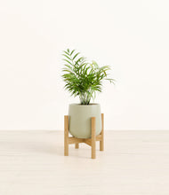 Load image into Gallery viewer, Turquoise stand:bamboo