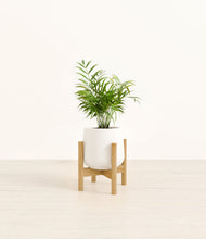 Load image into Gallery viewer, White stand:bamboo