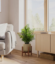 Load image into Gallery viewer, Olive stand:walnut