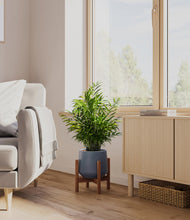 Load image into Gallery viewer, Deep Navy stand:walnut