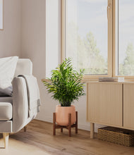 Load image into Gallery viewer, Calm Rose stand:walnut