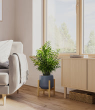 Load image into Gallery viewer, Deep Navy stand:bamboo