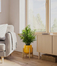 Load image into Gallery viewer, Mustard stand:bamboo