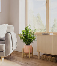 Load image into Gallery viewer, Calm Rose stand:bamboo