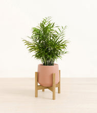 Load image into Gallery viewer, Calm Rose stand:bamboo