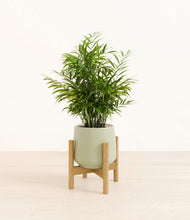 Load image into Gallery viewer, Turquoise stand:bamboo