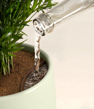 Load image into Gallery viewer, Turquoise stand:all