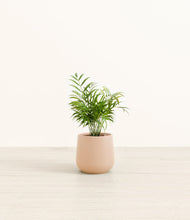 Load image into Gallery viewer, Gentle Pink*****Profile