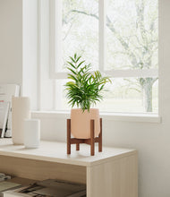 Load image into Gallery viewer, Gentle Pink stand:walnut