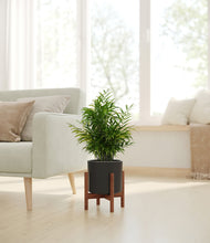 Load image into Gallery viewer, Black stand:walnut