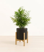 Load image into Gallery viewer, Black stand:bamboo