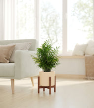 Load image into Gallery viewer, Cream stand:walnut