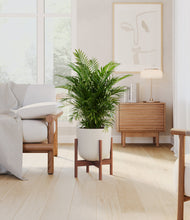 Load image into Gallery viewer, Natural Bamboo stand:walnut