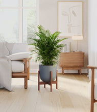 Lade das Bild in den Galerie-Viewer, Sage Green stand:dark