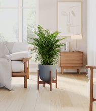 Load image into Gallery viewer, Iron Gray stand:walnut