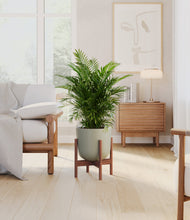 Lade das Bild in den Galerie-Viewer, Sage Green stand:dark