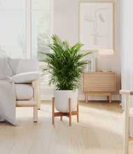 Load image into Gallery viewer, Natural Bamboo stand:bamboo