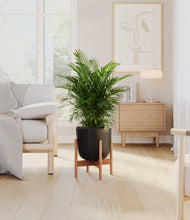 Lade das Bild in den Galerie-Viewer, Stone Black stand:light