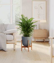 Lade das Bild in den Galerie-Viewer, Sage Green stand:light