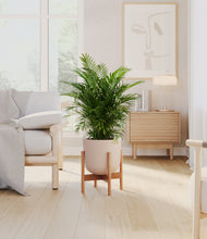 Load image into Gallery viewer, Sandy Pink stand:bamboo