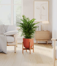 Load image into Gallery viewer, Earth Red stand:bamboo